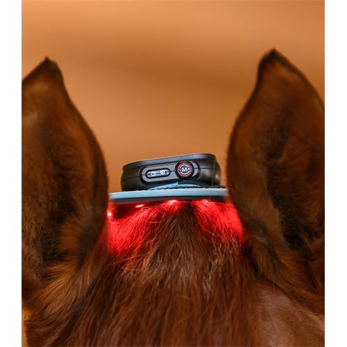 Terapeutický pásek Waldhausen Health+Care Infrared Terapeutický pásek Waldhausen Health+Care Infrared