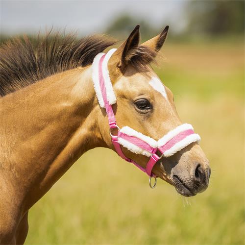 Hříběcí ohlávka QHP s beránkem, růžová, vel. 04 Hříběcí ohlávka QHP s beránkem, růžová, vel. 04