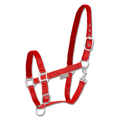 Nylonová ohlávka ELT Satin, 2 x podložená, 2x stavitelná, červená - vel. Full Ohlávka nylon Satin, červená, vel. Full