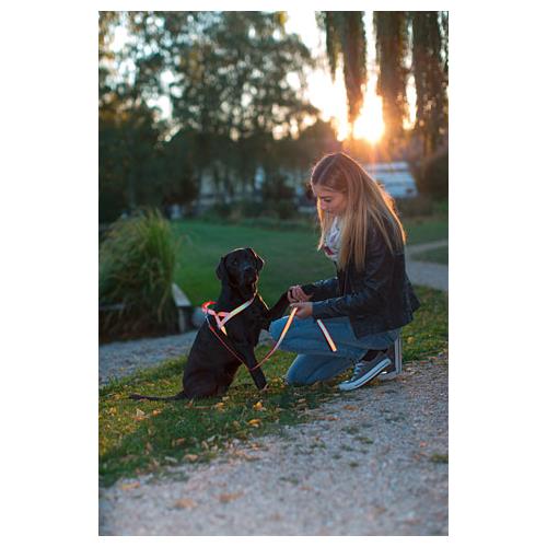 Postroj na psa, reflexní, oranžový - 60-75 cm/ 20 mm Postroj pro psy, nylonový, reflexní, oranžový, 60 - 75 cm