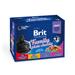 Brit Premium Cat Pouch Family Plate 12×100 g Brit Premium Cat Pouch Family Plate 12×100 g