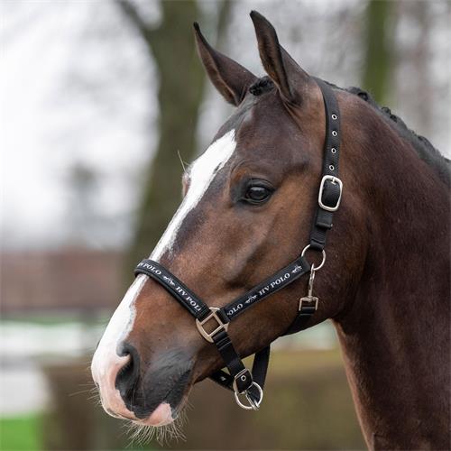 Nylonová ohlávka HV Polo Nena, černá - vel. Cob Ohlávka HV Polo Nena, černá, Cob