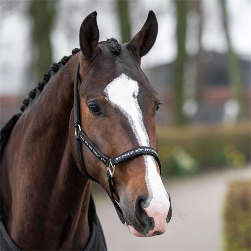 Nylonová ohlávka HV Polo Nena, černá - vel. Cob Ohlávka HV Polo Nena, černá, Cob