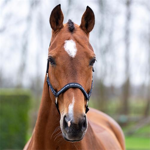 Nylonová ohlávka HV Polo Nena, černá - vel. Cob Ohlávka HV Polo Nena, černá, Cob