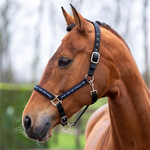 Nylonová ohlávka HV Polo Nena, černá - vel. Cob Ohlávka HV Polo Nena, černá, Cob