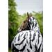Síťovaná deka proti hmyzu Bucas Buzz-Off SS 26, zebra - vel. 145 cm Síťová deka s krkem Bucas Buzz-Off SS 26, zebra, vel. 145