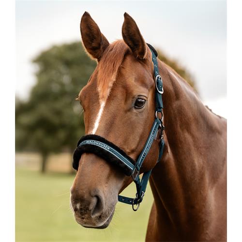 Ohlávka pro koně Waldhausen AW 2025/26 Elegant, petrolejová - vel. Cob Ohlávka Waldhausen Elegant AW25/26, petrolejová, vel. Cob