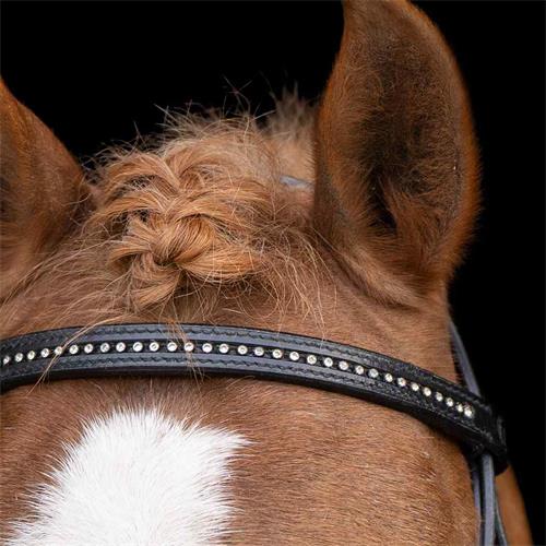 Uzdečka kožená IRH Stormy, černá - vel. Minishetty Uzdečka kožená IRH Stormy, černá, Minishetty