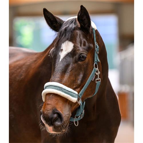 Ohlávka s beránkem Waldhausen Elegant, SS 26, šedá - vel. Full Ohlávka Waldhausen Elegant SS 26, šedá, vel. Full