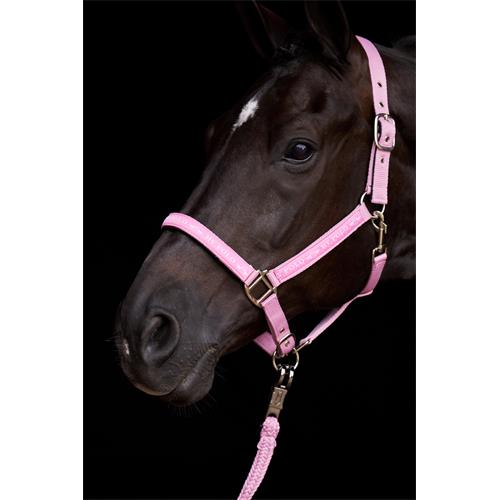 Nylonová ohlávka HVP Nena, SS 26, růžová - vel. Cob Ohlávka HV Polo Nena SS 26, růžová, vel. Cob