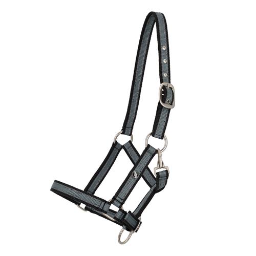 Hříběcí ohlávka QHP, SS 26, vel. 04 - Palm green Ohlávka hříběcí QHP SS 26, zeleno-černá, vel. 04