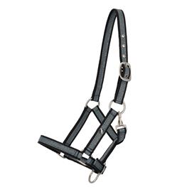 Hříběcí ohlávka QHP, SS 26, vel. 04