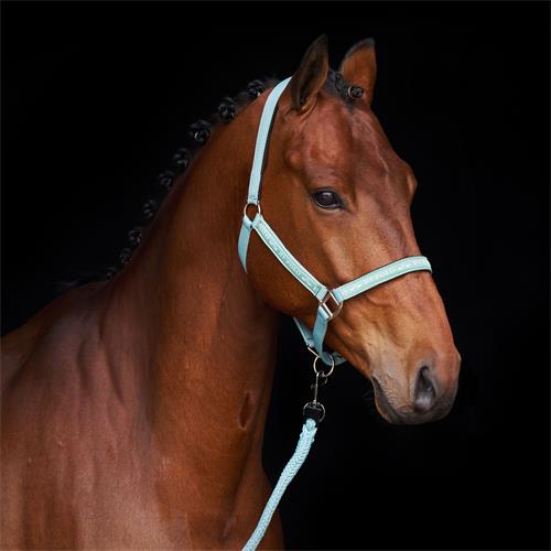 Hříběcí nylonová ohlávka HVP Nena, SS 26 - aqua sky Hříběcí ohlávka HVP Nena SS 26, Aqua Sky, vel. 04