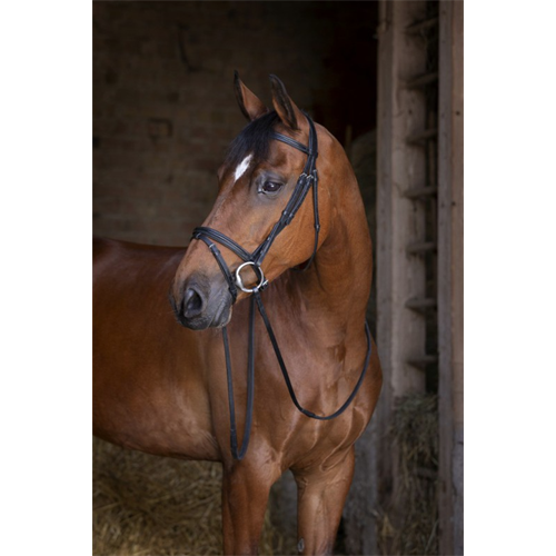 Kožená uzdečka Eric Thomas Shiny, černá - vel. Full Uzdečka Eric Thomas Shiny, černá , vel. Full