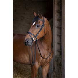 Kožená uzdečka Eric Thomas Shiny, černá