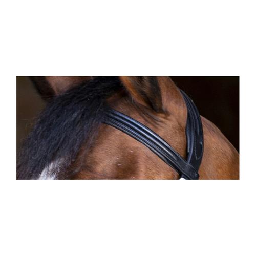 Kožená uzdečka Eric Thomas Shiny, černá - vel. Full Uzdečka Eric Thomas Shiny, černá , vel. Full