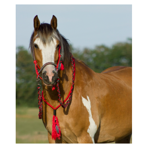 Provazový set QHP Liberty, červený - vel. Shetty Set provazový QHP Liberty combi, červený, Shetty