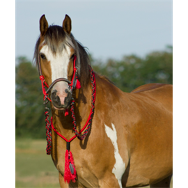 Provazový set QHP Liberty, červený