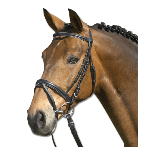 Kožená uzdečka Waldhausen STAR Lifestyle, černo-bílá - vel. Shetty Uzdečka STAR Lifestyle černo-bílá, vel. Shetty