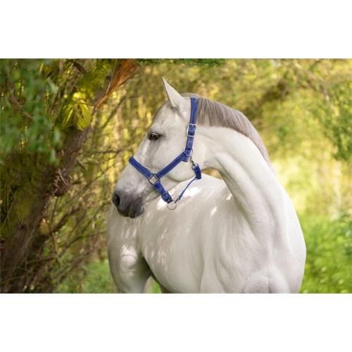 Ohlávka pro koně Mustang, stavitelná, modrá - vel. Cob Ohlávka pro koně nylon, Mustang, podložená dvakrát stavitelná modrá, vel. Cob