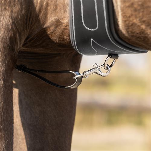 Poprsník QHP Basic pro, černý - vel. Cob Poprsník QHP Basic pro, černý, Cob