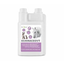 Sirup Dromy Echinacea, 1 l