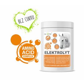 Doplněk pro koně Dromy ELEKTROLYT, 1kg