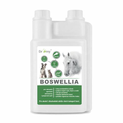 Doplněk pro koně Dromy Boswellia liquid, 1l Doplněk pro koně Dromy Boswellia liquid, 1l