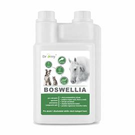 Doplněk pro koně Dromy Boswellia liquid, 1l