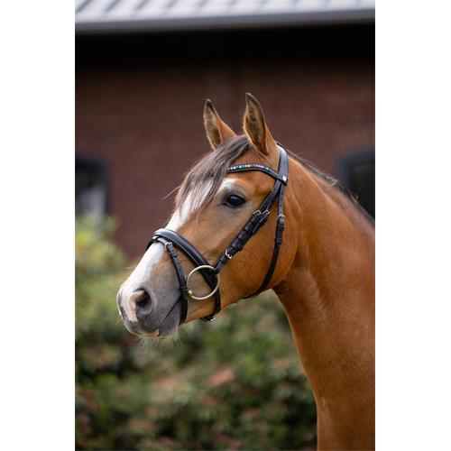 Kožená uzdečka Horze Rainbow Dash, černá - vel. Pony Uzdečka Horze Rainbow Dash, černá