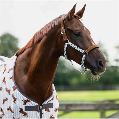 Ohlávkový set QHP Stable Buddy, SS 26, s jezevčíky - vel. Full Ohlávkový set QHP Stable Buddy SS 26, vel. Full