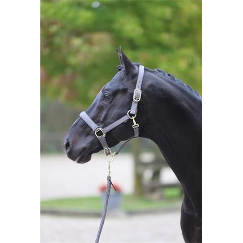 Nylonová ohlávka Covalliero Classy, šedá - vel. Cob Ohlávka Covalliero Classy, šedá, Cob