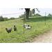 Síť pro drůbež PoultryNet, zelená, vodivá, výška 106 cm, délka 50 m, dvojitá špička Síť pro drůbež PoultryNet, zelená, vodivá, výška 106 cm, délka 50 m, dvojitá špička