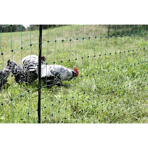 Síť pro drůbež PoultryNet, zelená, vodivá, výška 106 cm, délka 50 m, dvojitá špička Síť pro drůbež PoultryNet, zelená, vodivá, výška 106 cm, délka 50 m, dvojitá špička