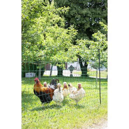 Síť pro drůbež PoultryNet, zelená, vodivá, výška 106 cm, délka 25 m, dvojitá špička Síť pro drůbež PoultryNet, zelená, vodivá, výška 106 cm, délka 25 m, dvojitá špička
