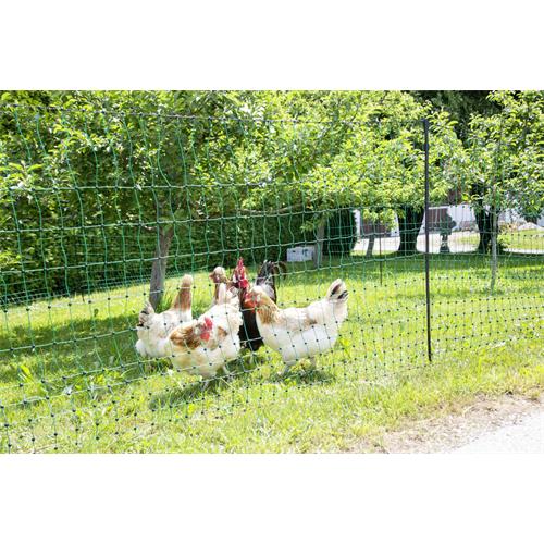 Síť pro drůbež PoultryNet, zelená, vodivá, výška 106 cm, délka 25 m, dvojitá špička Síť pro drůbež PoultryNet, zelená, vodivá, výška 106 cm, délka 25 m, dvojitá špička