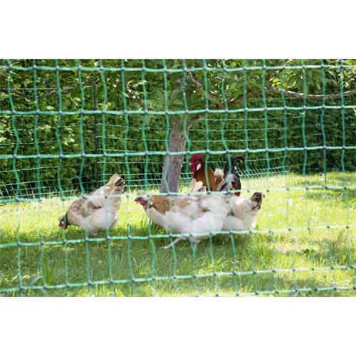 Síť pro drůbež PoultryNet, zelená, vodivá, výška 106 cm, délka 25 m, dvojitá špička Síť pro drůbež PoultryNet, zelená, vodivá, výška 106 cm, délka 25 m, dvojitá špička