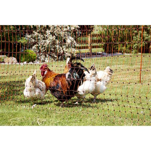 Síť pro drůbež PoultryNet, vodivá, výška 106 cm, délka 50 m, dvojitá špička Síť pro drůbež PoultryNet, vodivá, výška 106 cm, délka 50 m, dvojitá špička