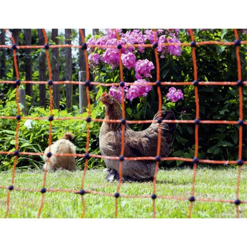Síť pro drůbež PoultryNet, vodivá, výška 106 cm, délka 50 m, dvojitá špička Síť pro drůbež PoultryNet, vodivá, výška 106 cm, délka 50 m, dvojitá špička