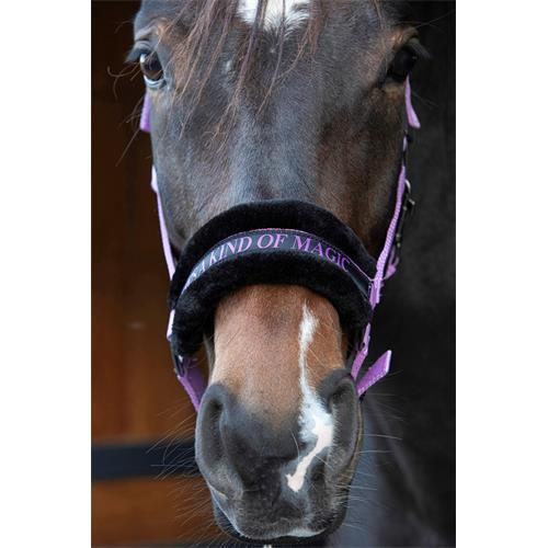 Nylonová ohlávka s beránkem Harrys Horse Lyrics, fialková - vel. Pony Ohlávka HH Lyrics s beránkem, fialková, vel. Pony