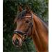 Čelenka pro koně Waldhausen Star Glitter, stříbrná - vel. Pony Čelenka pro koně Waldhausen Star Glitter, stříbrná, vel. Pony