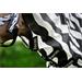 Síťovaná deka proti hmyzu Bucas Buzz-Off SS 26, zebra - vel. 145 cm Síťová deka s krkem Bucas Buzz-Off SS 26, zebra, vel. 145