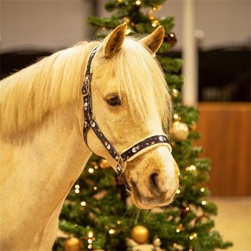 Ohlávka s beránkem QHP Christmas - vel. Pony Ohlávka QHP Christmas, sněhuláci, vel. Pony