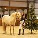 Ohlávka s beránkem QHP Christmas - vel. Pony Ohlávka QHP Christmas, sněhuláci, vel. Pony