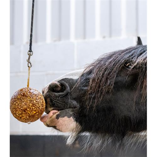Pochoutka LIKIT Stall Ball, jablečná, 1,6 kg Pochoutka LIKIT Stall Ball, jablečná, 1,6 kg