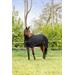 Síťovaná deka proti hmyzu s krkem Covalliero, SS 26, černá - vel. 145/195 cm Deka síťová s krkem Covalliero SS 26, černá, 145 cm