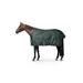 Nepromokavá deka Horze Glasgow AW 26/27, 100 gr, zelená - vel. 125 cm Nepromokavá deka Horze Glasgow AW 26/27, 100g, zelená, vel. 125 cm