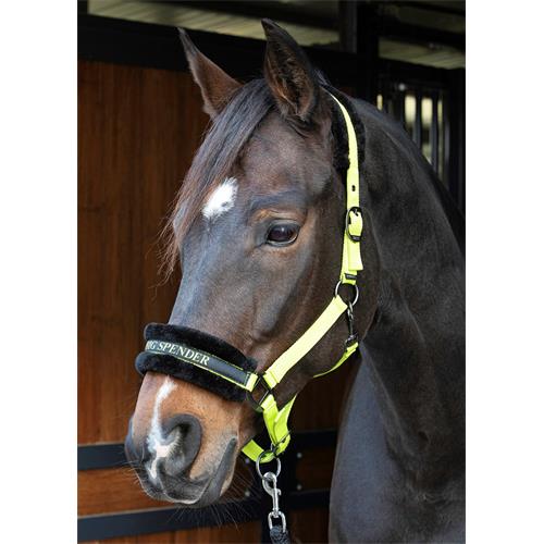 Nylonová ohlávka s beránkem Harrys Horse Lyrics, limetková - vel. Cob