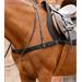 Poprsník Premier Equine Zimella Elastic, černý, vel. Full Poprsník Premier Equine Zimella Elastic, černý, vel. Full