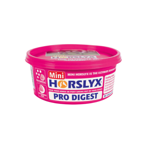 Liz pro koně Horslyx Pro Digest - 650 g